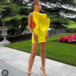 Zara voluminous dress- XS